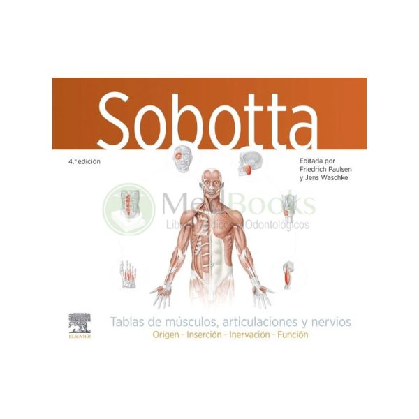 Sobotta. Tablas de músculos, articulaciones y nervios 4ª Ed.
