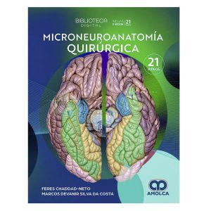 Microneuroanatomía Quirúrgica