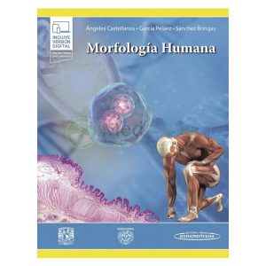 Morfología humana